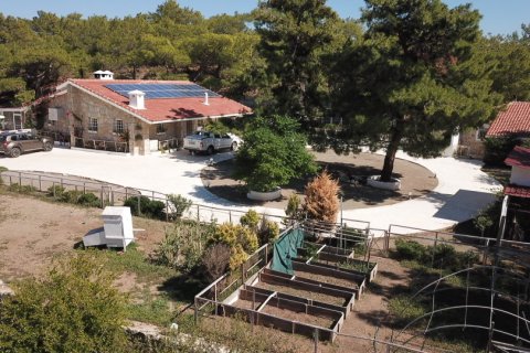 Продажа виллы  в Датче, Мугле, Турция 4+3, 20800м2, №213060 – фото 1