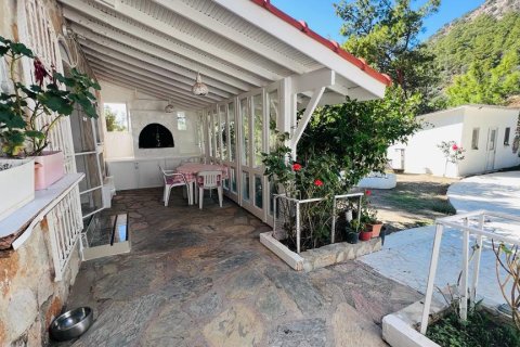 Продажа виллы  в Датче, Мугле, Турция 4+3, 20800м2, №213060 – фото 5