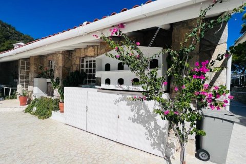 Продажа виллы  в Датче, Мугле, Турция 4+3, 20800м2, №213060 – фото 15