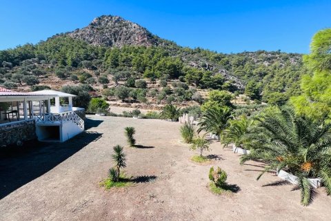 Продажа виллы  в Датче, Мугле, Турция 4+3, 20800м2, №213060 – фото 18