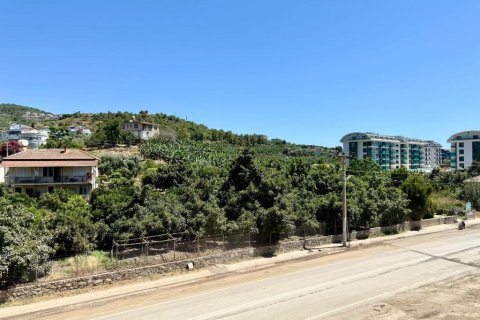 Lägenhet  i Kargicak, Alanya, Antalya, Turkiet Nr. 216317 - 22