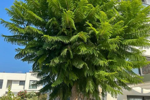 Daire Gazimağusa, №216314 - 23