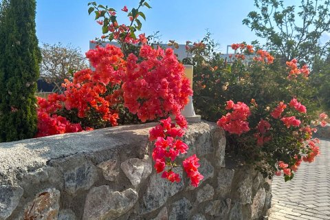 Daire Gazimağusa, №216314 - 22