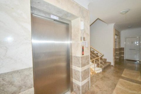 Аренда квартиры в Аланье, Анталье, Турция 1+1, 60м2, №216666 – фото 12