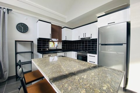 3+1 Lejlighed  i Alanya, Antalya, Tyrkiet Nr. 216665 - 12