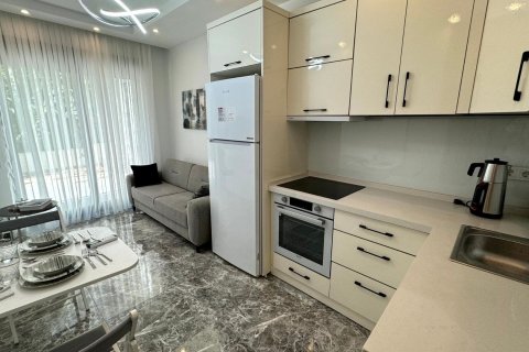 آپارتمان در Alanya ، ترکیه 1 خوابه ، 50 متر مربع. شماره 237731 - 19