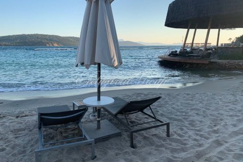 4+1 Villa in Bodrum, Mugla, Türkei Nr. 227328 - 23