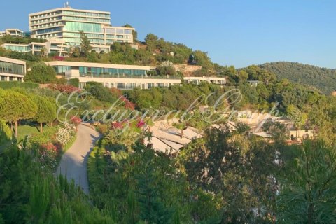 4+1 Villa in Bodrum, Mugla, Türkei Nr. 227328 - 24