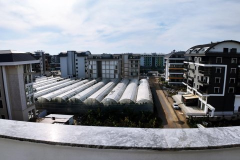 Apartment for rent  in Alanya, Antalya, Turkey, 2 bedrooms, 110m2, No. 216690 – photo 12