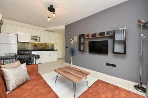 1+1 Wohnung  in Alanya, Antalya, Türkei Nr. 216686