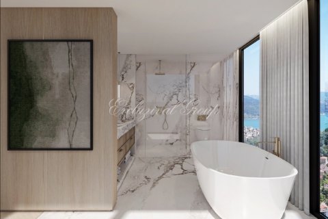 1+1 Wohnung  in Istanbul, Türkei Nr. 224420 - 12