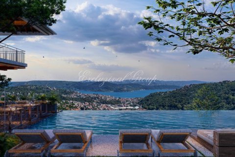 1+1 Wohnung  in Istanbul, Türkei Nr. 224420