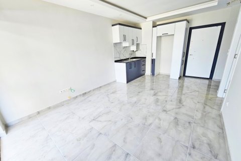 1+1 Wohnung  in Alanya, Antalya, Türkei Nr. 216464 - 4
