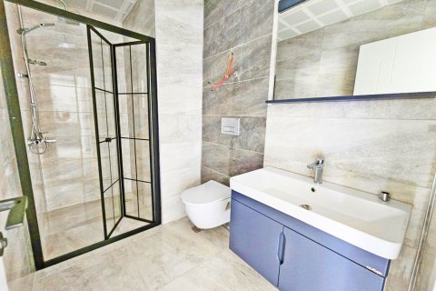 1+1 Wohnung  in Alanya, Antalya, Türkei Nr. 216464 - 8