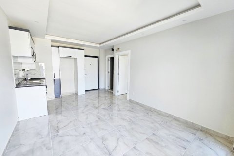 1+1 Wohnung  in Alanya, Antalya, Türkei Nr. 216464 - 3