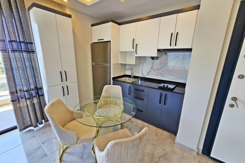 1+1 Wohnung  in Alanya, Antalya, Türkei Nr. 216465 - 4