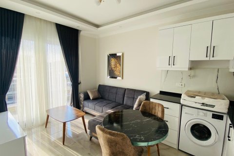 1+1 Wohnung  in Demirtas, Alanya, Antalya, Türkei Nr. 216261 - 9
