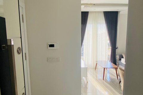 1+1 Wohnung  in Demirtas, Alanya, Antalya, Türkei Nr. 216261 - 14