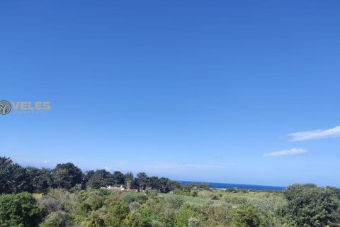 Продажа виллы  в Лапте, Гирне, Северный Кипр 4+1, 151м2, №214178 – фото 13