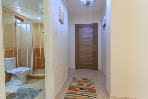 1+0 Lägenhet  i Mahmutlar, Antalya, Turkiet Nr. 227800 - 12