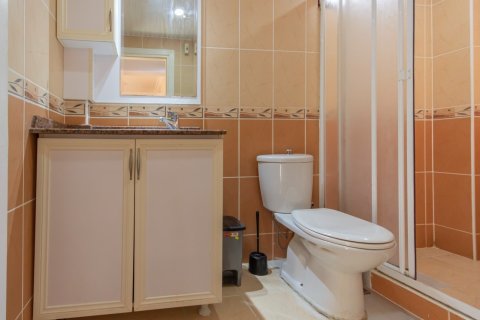 1+0 Lägenhet  i Mahmutlar, Antalya, Turkiet Nr. 227800 - 10