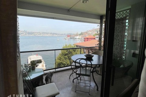 4+1 Lägenhet  i Istanbul, istanbul, Turkiet Nr. 233346 - 5