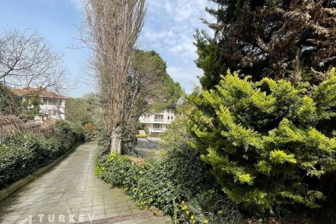 4+1 Lägenhet  i Istanbul, istanbul, Turkiet Nr. 233346 - 8