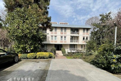 4+1 Lägenhet  i Istanbul, istanbul, Turkiet Nr. 233346 - 11