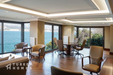 14+1 Villa in Istanbul, Türkei Nr. 233352 - 5