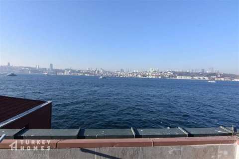 14+1 Villa in Istanbul, Türkei Nr. 233352 - 13