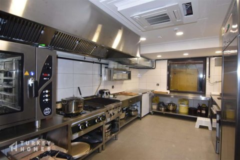 14+1 Villa in Istanbul, Türkei Nr. 233352 - 8