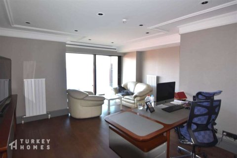 14+1 Villa in Istanbul, Türkei Nr. 233352 - 14