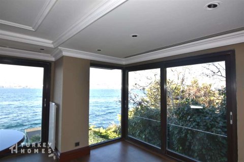 14+1 Villa in Istanbul, Türkei Nr. 233352 - 6