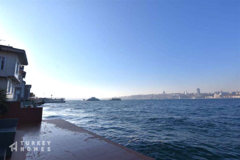 14+1 Villa in Istanbul, Türkei Nr. 233352 - 4