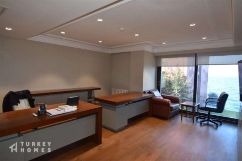 14+1 Villa in Istanbul, Türkei Nr. 233352 - 7