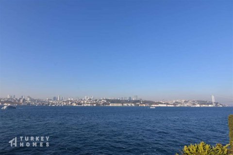 14+1 Villa in Istanbul, Türkei Nr. 233352 - 10