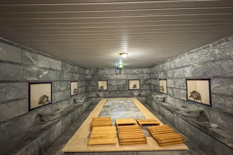 4+1 Lägenhet  i Alanya, Antalya, Turkiet Nr. 217552 - 20