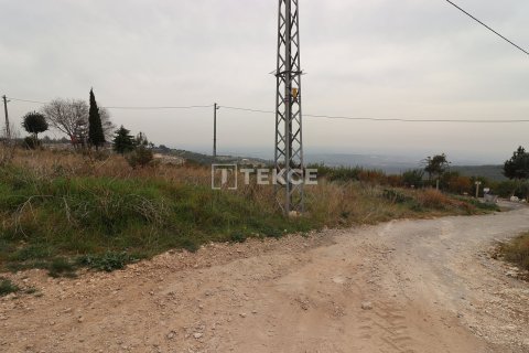 Продажа земельного участка  в Эрдемли, Мерсине, Турция, 1501м2, №217260 – фото 4