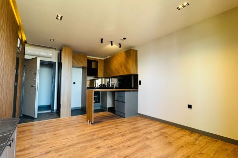 آپارتمان در Kepez،  Antalya ، ترکیه 1 خوابه ، 40 متر مربع.  شماره 212330 - 27