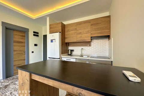 Продажа квартиры в Аланье, Анталье, Турция 1+1, 50м2, №233531 – фото 7