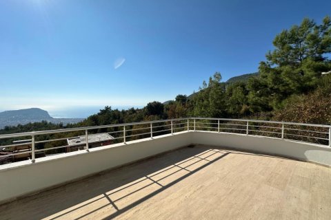 Villa  i Tepe, Alanya, Antalya, Turkiet Nr. 215600 - 19