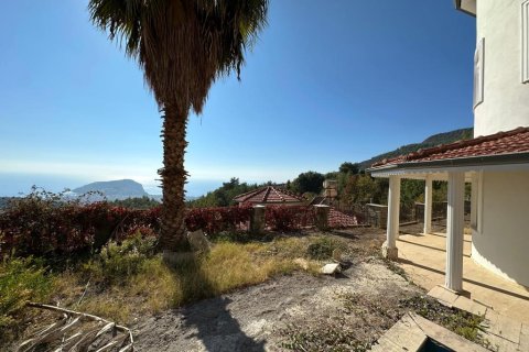 Villa  i Tepe, Alanya, Antalya, Turkiet Nr. 215600 - 20