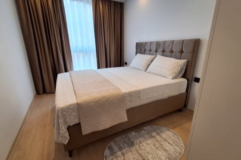 2+0 Wohnung in Alanya, Antalya, Türkei Nr. 224991 - 14