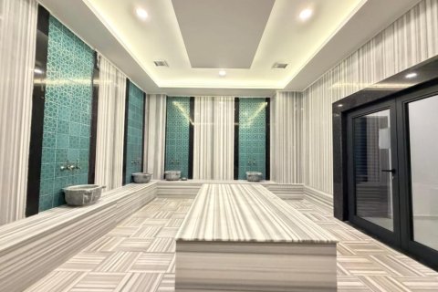 Wohnung  in Kestel, Antalya, Türkei Nr. 224553 - 12
