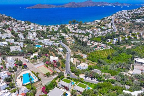 Villa  4+1  Bodrum, Muğla, Türkiye №215212 - 24