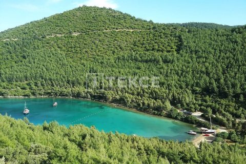 Villa 2+1 Milas, Muğla, Türkiye №221744 - 11