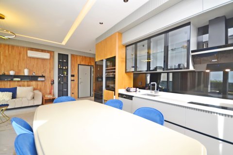 2+1 Lejlighed i Alanya, Antalya, Tyrkiet Nr. 216513 - 25