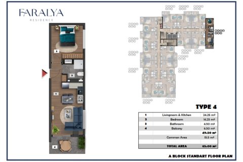 1+1 Wohnung  in Alanya, Antalya, Türkei Nr. 216482 - 4