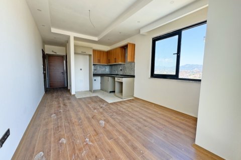 1+1 Wohnung  in Alanya, Antalya, Türkei Nr. 216482 - 21
