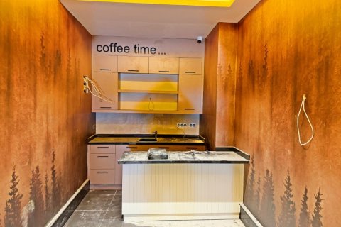 1+1 Wohnung  in Alanya, Antalya, Türkei Nr. 216482 - 13